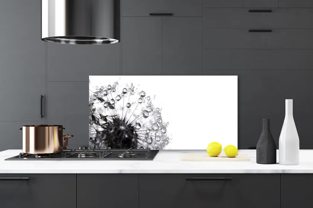 Pannello cucina paraschizzi Pianta di tarassaco 120x60 cm