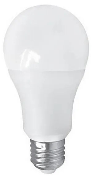 Lampadina LED PITT A60 AC/DC E27/12W/24V 4000K