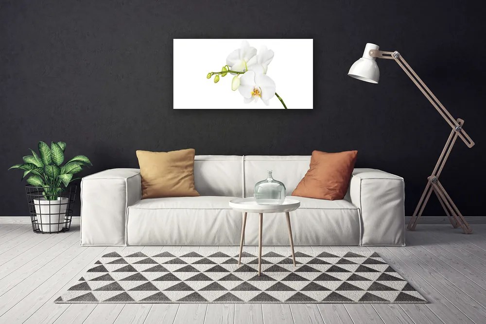 Quadro stampa su tela Fiori di orchidea Natura 100x50 cm