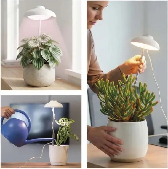 Lampada LED da interno per la coltivazione di piante GROW LED/5W/5V