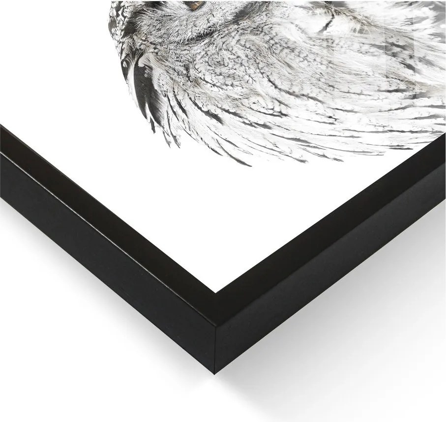 Dipinto 50x70 cm Owl – Styler