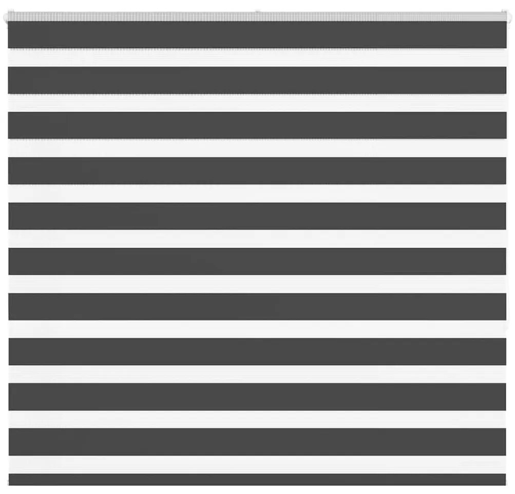 Tenda A Rullo Zebra Nero Larghezza Tessuto 150,9 Cm Poliestere /