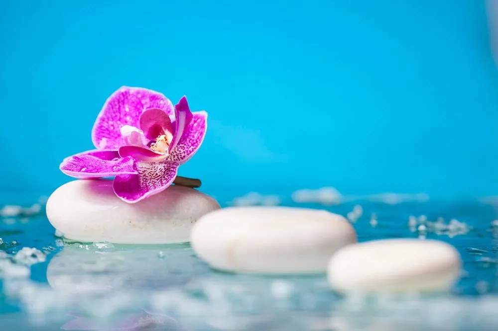 Carta da parati – Orchidea e pietre zen