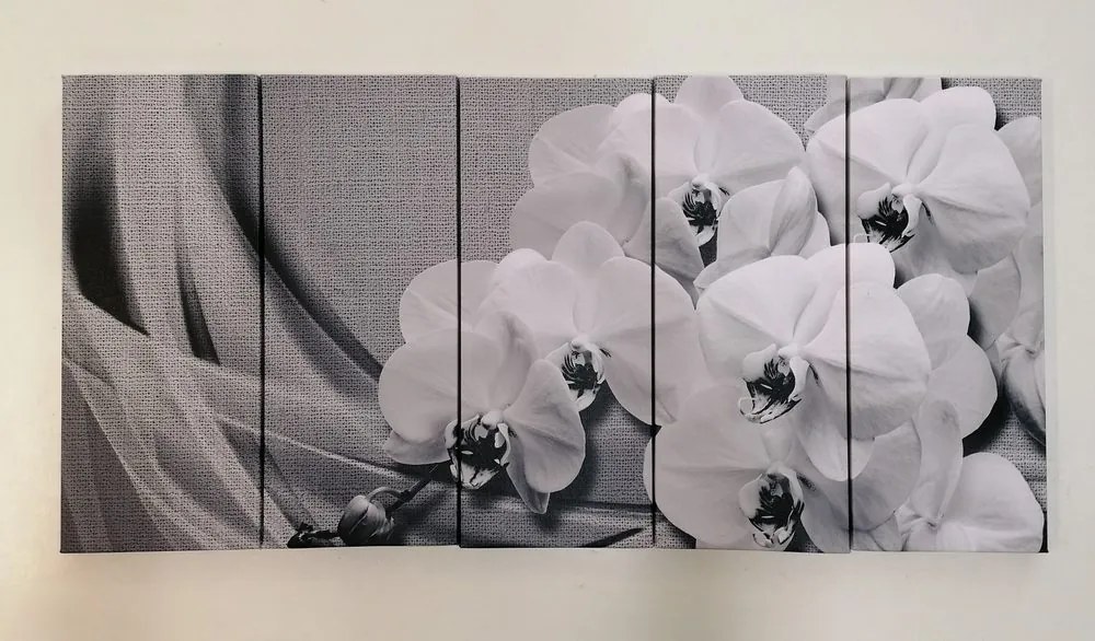 Quadri 5 pezzi – Orchidea su tela in bianco e nero