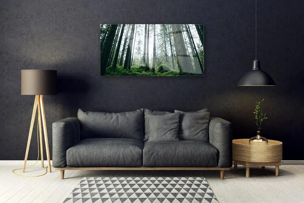 Quadro su vetro acrilico Alberi della natura della foresta 100x50 cm