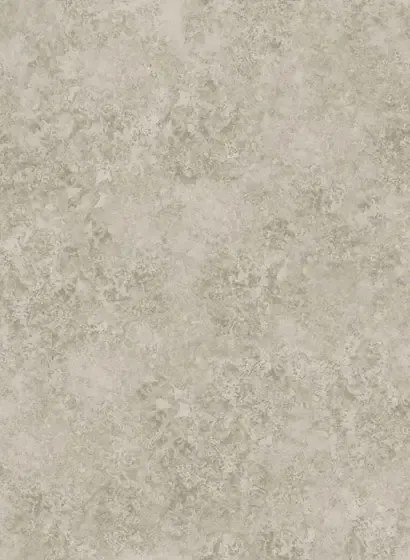 Tapete Patina Haze von Cole & Son - Warm Gilver