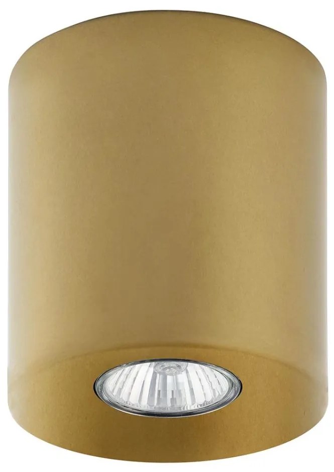 Faretto ORION 1xGU10/10W/230V oro