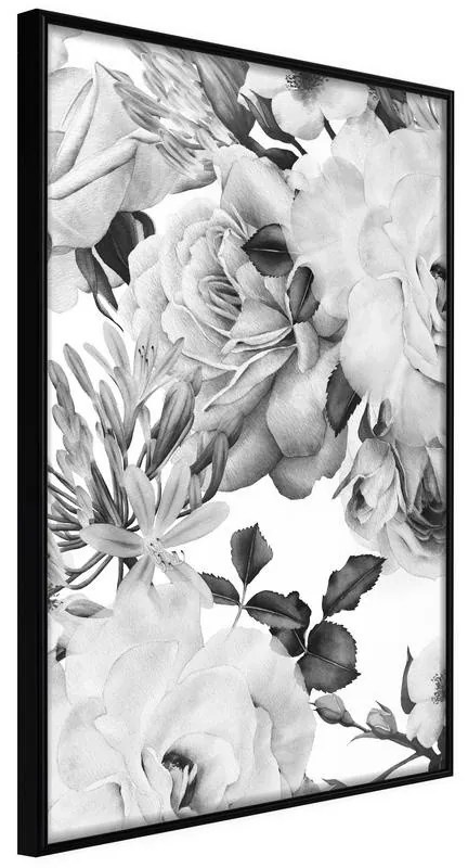 Poster  Black and White Nature  Cornice Quadri Cornice nera, Larghezza x Altezza Home decor 20x30