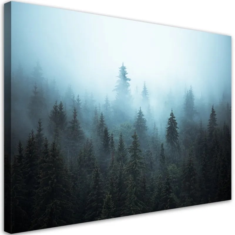 Quadro su tela, Foresta nella nebbia  Dimensioni 100x70