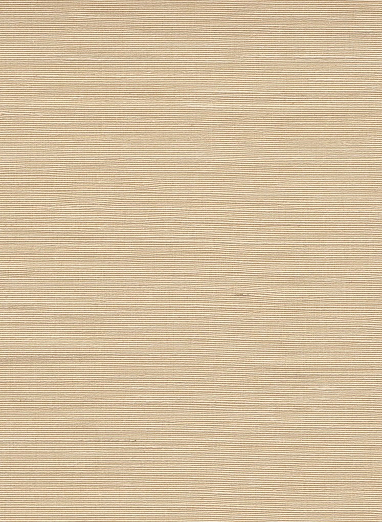 Arte International Carta da parati Agave - Linen