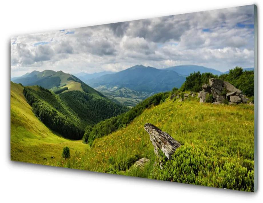 Quadro in vetro acrilico Paesaggio del prato di montagna 100x50 cm