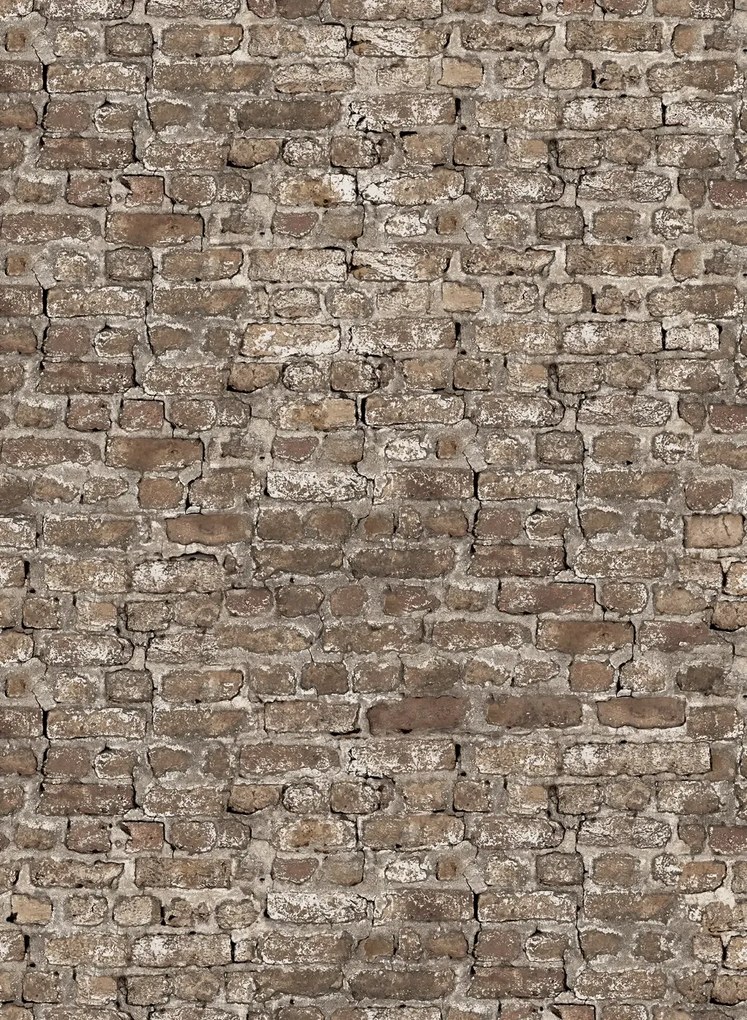 Rebel Walls Wandbild Leiria - Sand