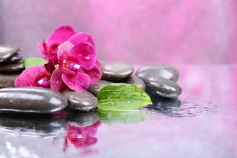 Carta da parati autoadesiva – Orchidea con tocco di relax