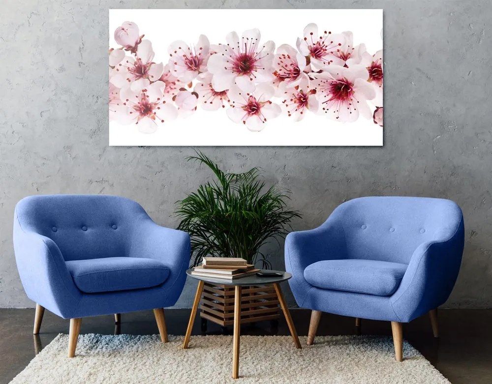 Stampa su tela – Fiori di ciliegio