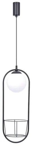 Zuma Line 5003 - Lampadario a sospensione con filo PLANT 1xE14/40W/230V nero