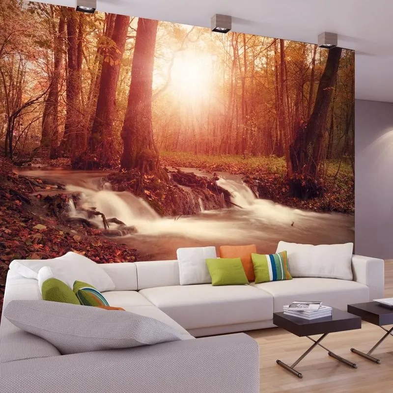 Fotomurale adesivo  Autumn Dreaminess  Larghezza x Altezza Home decor 147x105