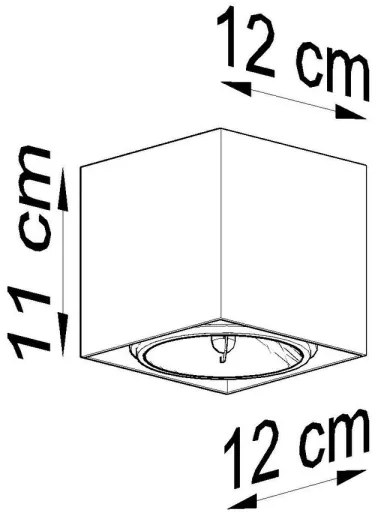 Luce Spot BLAKE 1xGU10/40W/230V