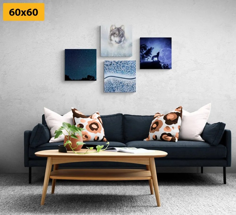 Set di quadri – Lupo solitario