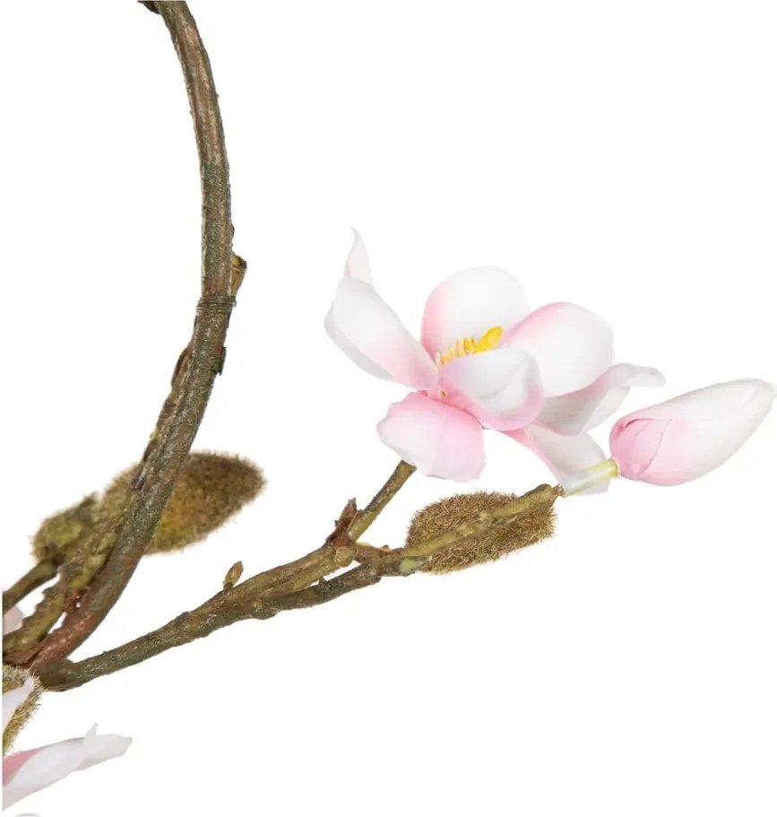 Ghirlanda di fiori Magnolia - Ixia