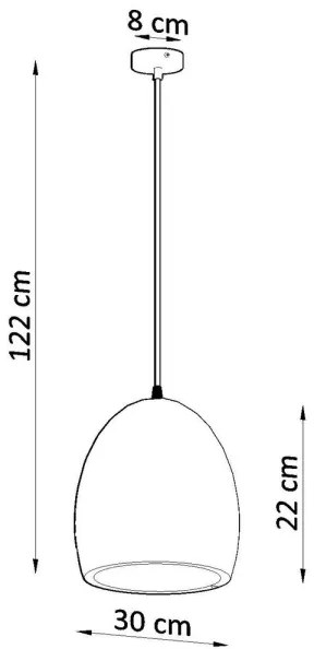 Lampadario su filo FLAWIUSZ 1xE27/60W/230V