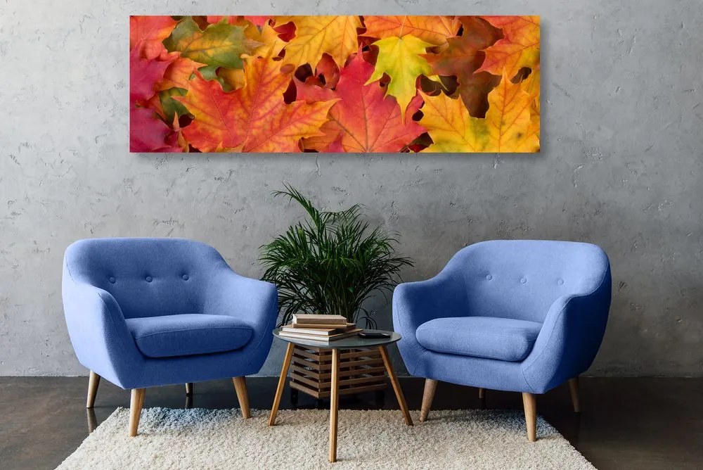Quadro su tela – Foglie autunnali