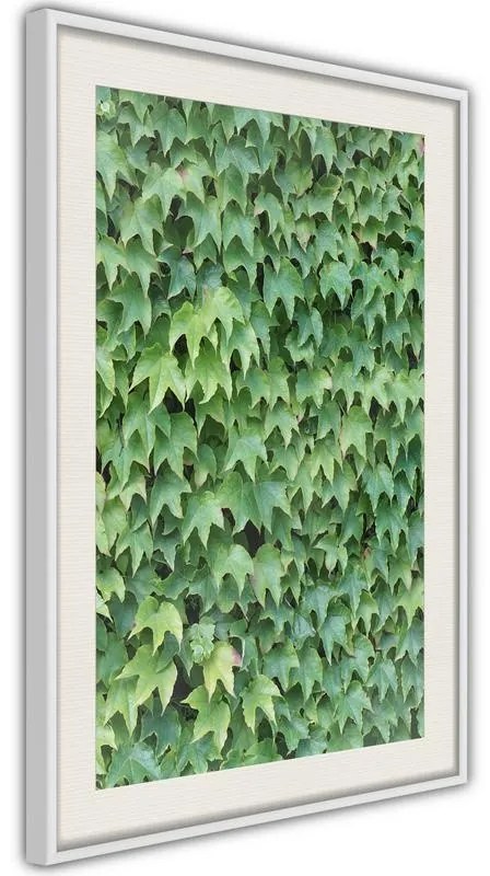 Poster  Hidden  Cornice Quadri Cornice nera con pass-partout, Larghezza x Altezza Home decor 20x30