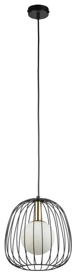 Lampadario a sospensione con filo BELL 1xG9/12W/230V diametro 24 cm nero/oro