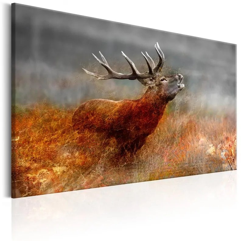 Quadro Roaring Deer  Colore Marrone, Dimensioni e Misure 90x60