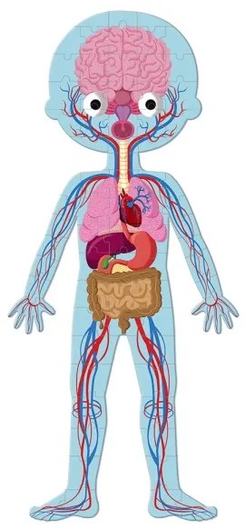 Janod - Puzzle educativo per bambini 225 pezzi corpo umano