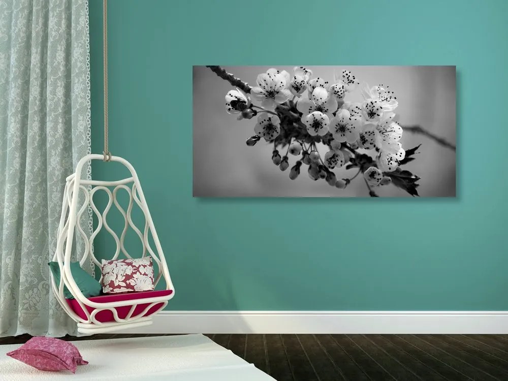 Quadro su tela – Ramo fiorito di ciliegio in bianco e nero