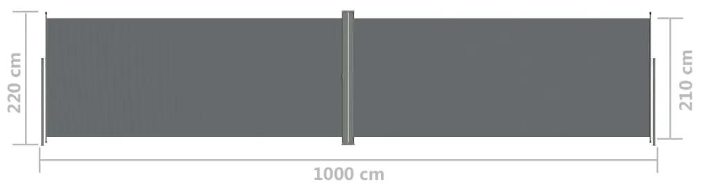 Tenda da Sole Laterale Retrattile Antracite 220x1000 cm