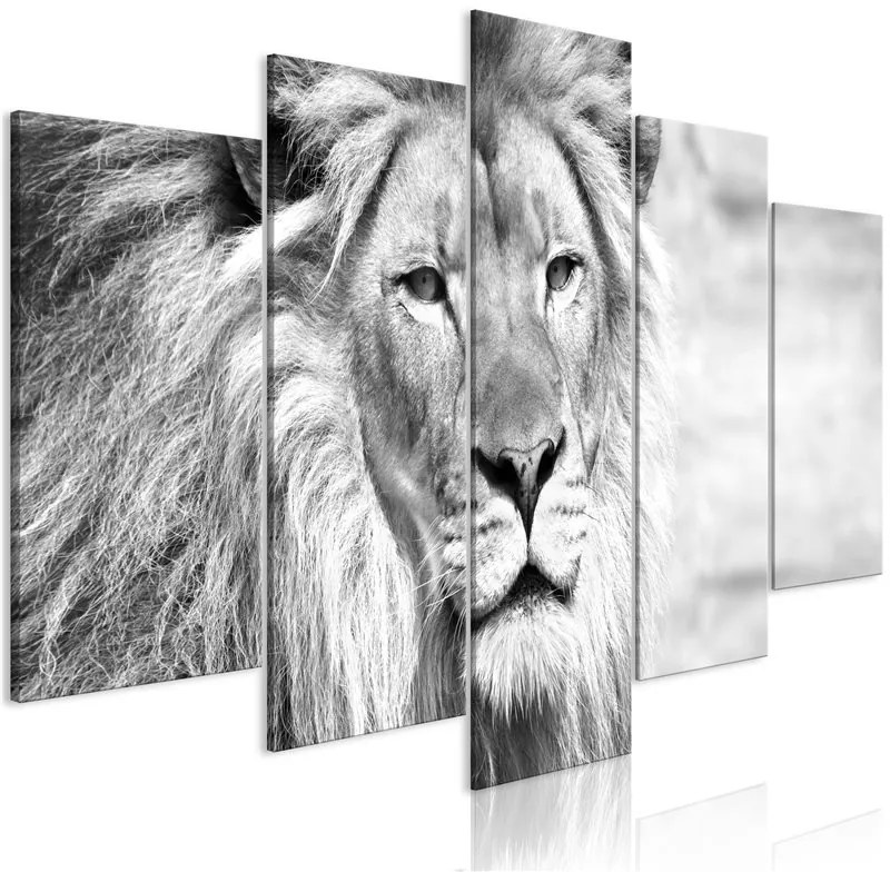 Quadro  The King of Beasts (5 Parts) Wide Black and White  Colore bianco e nero, Dimensioni e Misure 100x50