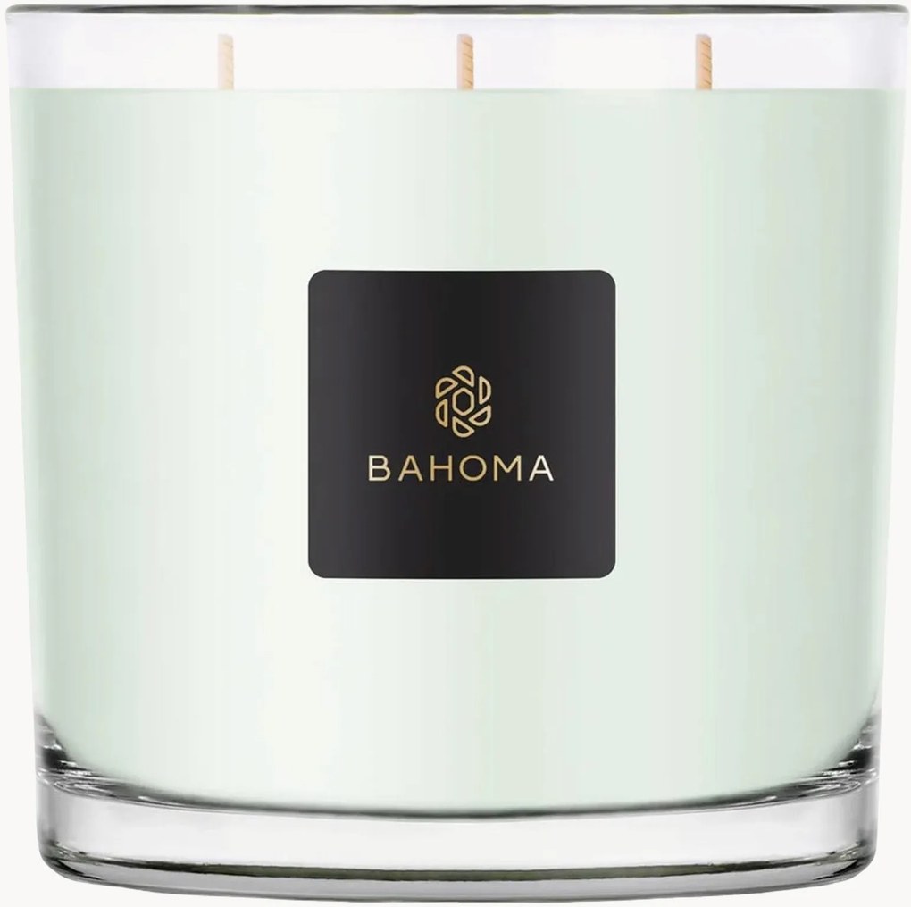 Candela XXL in scatola (primula & legno di ambra)