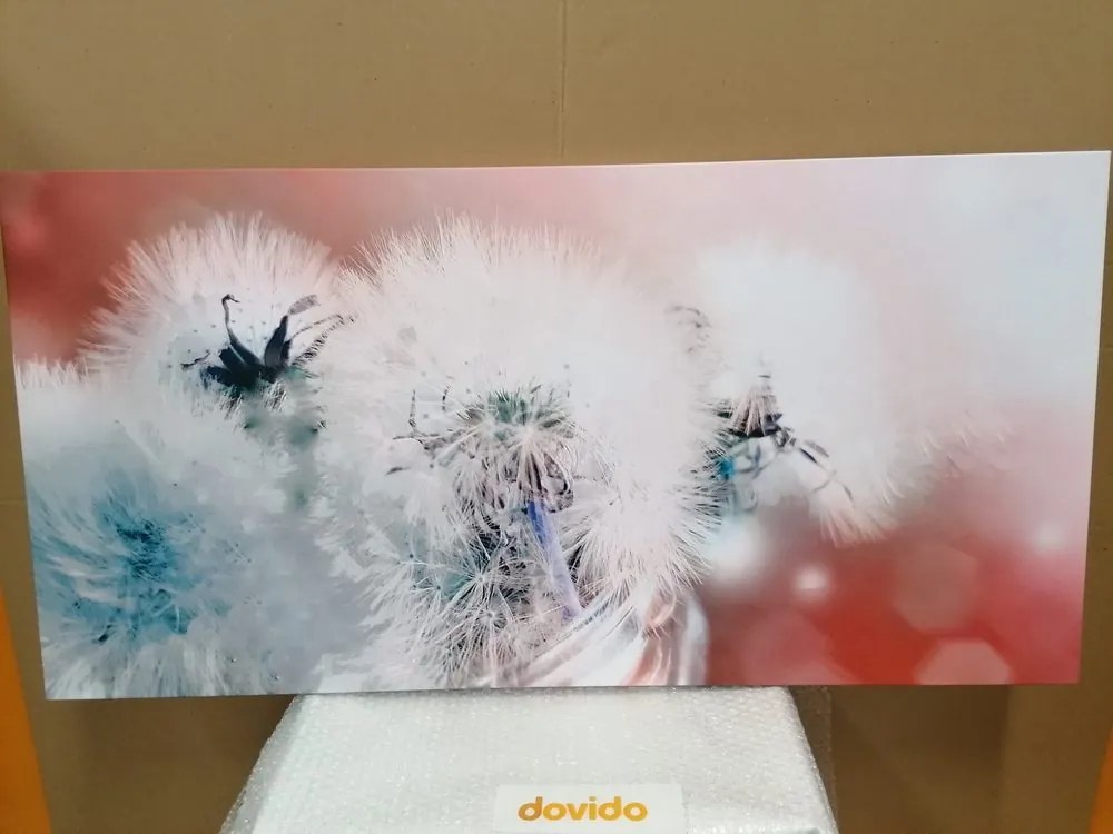 Stampa su tela – Dente di leone con elementi astratti