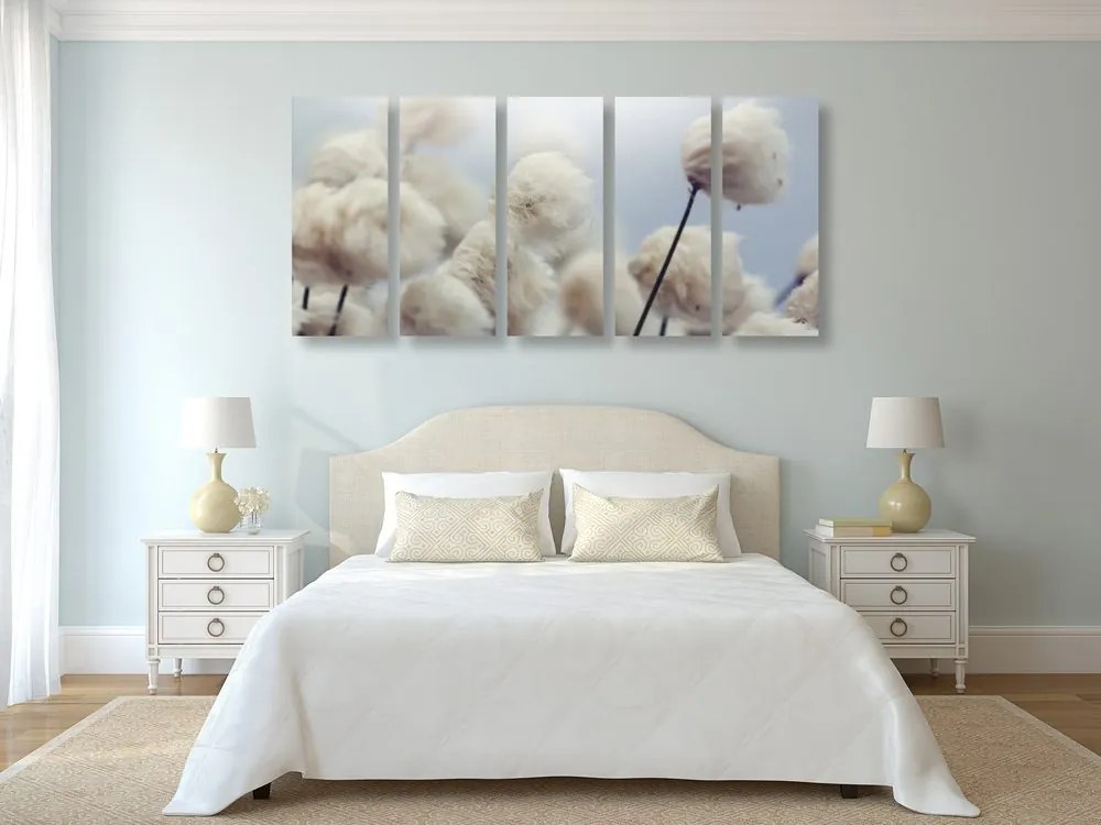 Quadri 5 pezzi – Fiori di cotone artico