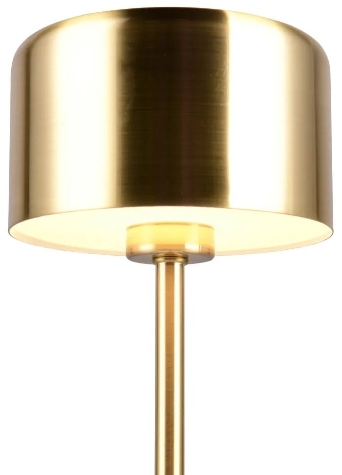 Lampada da tavolo a LED dimmerabile in oro (altezza 30 cm) Jeff - Trio