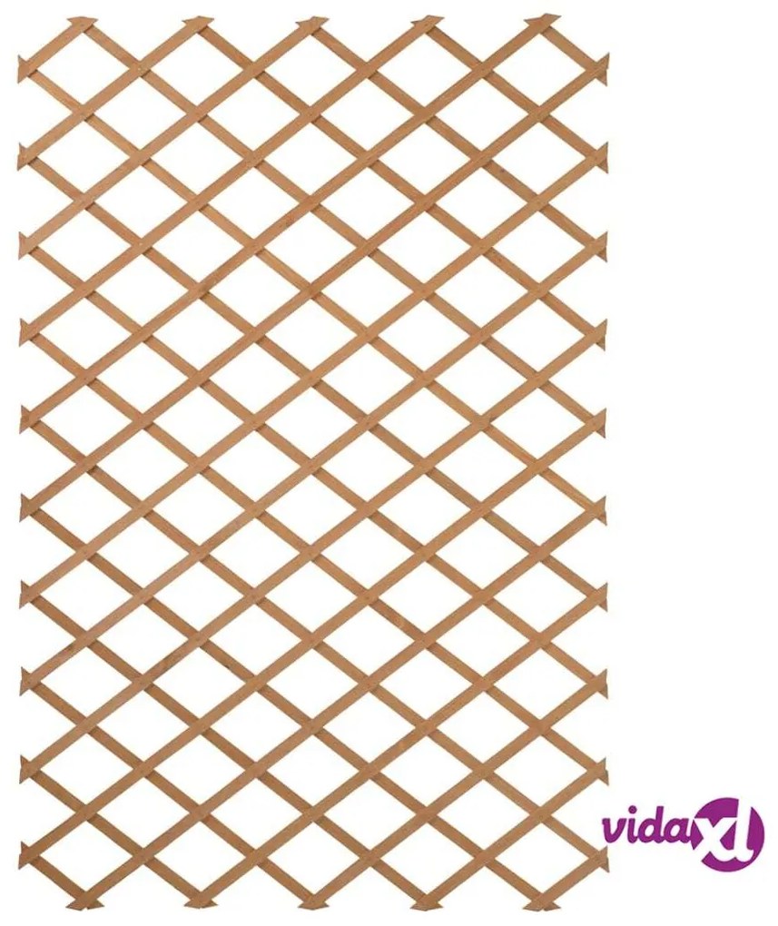 Nature Traliccio da Giardino 50x150 cm in Legno Naturale