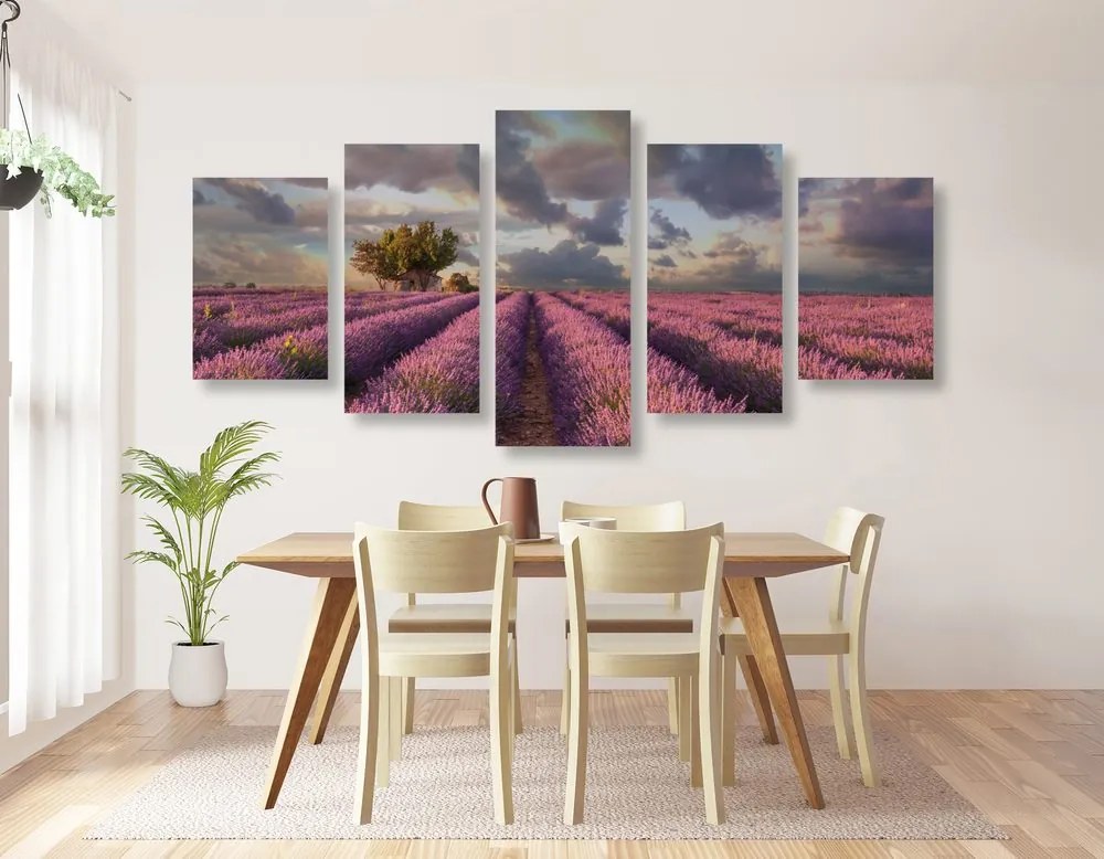 Quadri 5 pezzi – Terra dei campi di lavanda