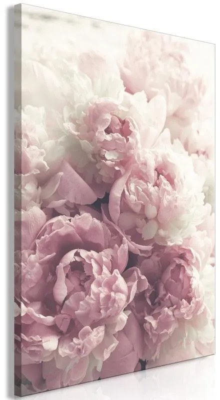 Quadro  Delicate Peonies (1 Part) Vertical  Larghezza x Altezza Home decor 40x60