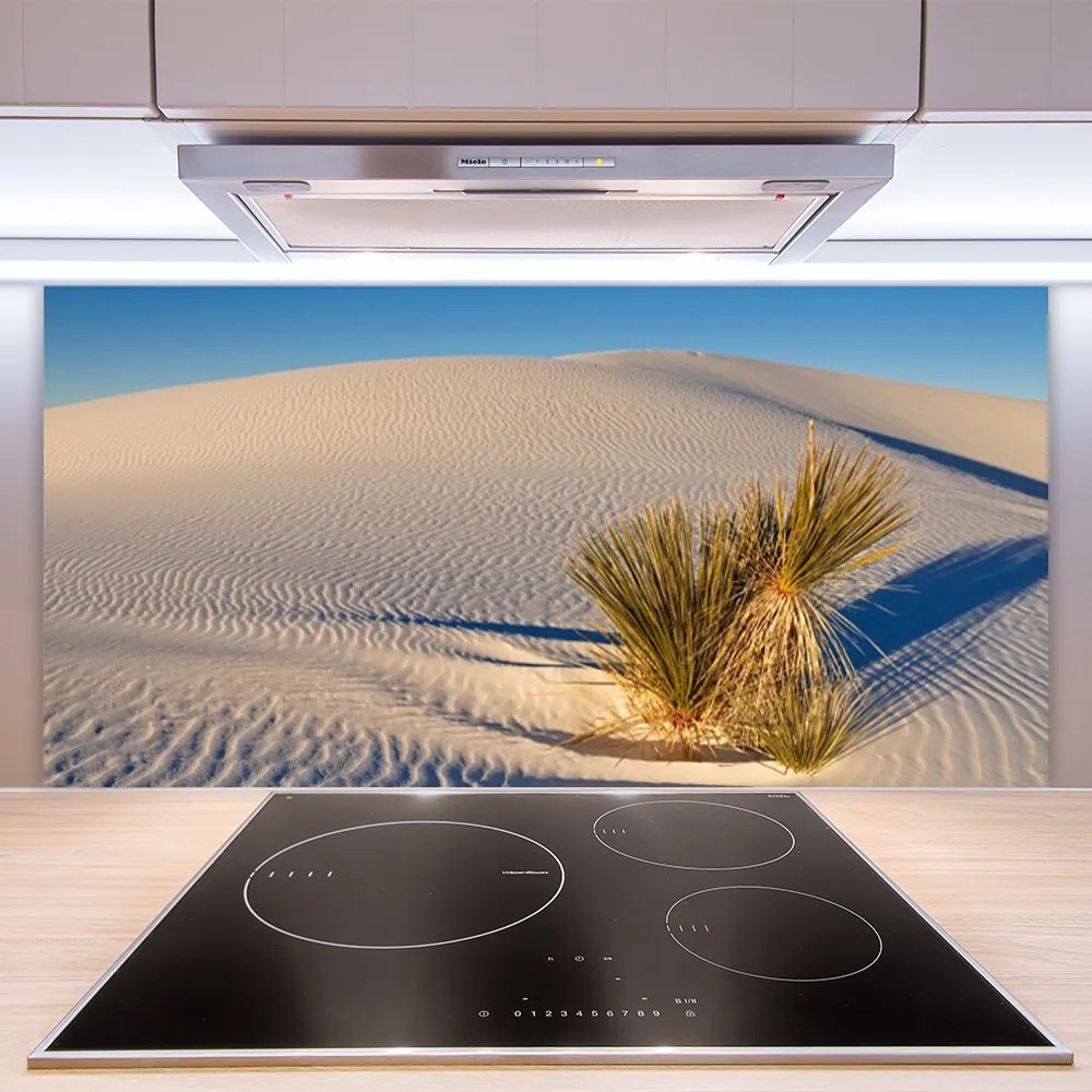 Rivestimento parete cucina Paesaggio di sabbia del deserto 140x70 cm