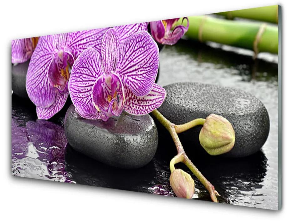 Pannello paraschizzi cucina Orchidea Zen Orchidea Spa 100x50 cm