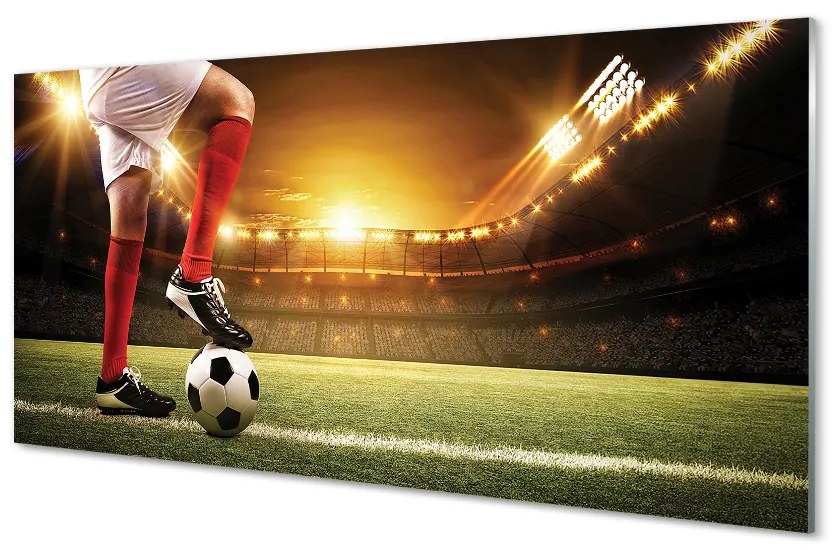 Quadro acrilico Gambe dello stadio a sfera 100x50 cm