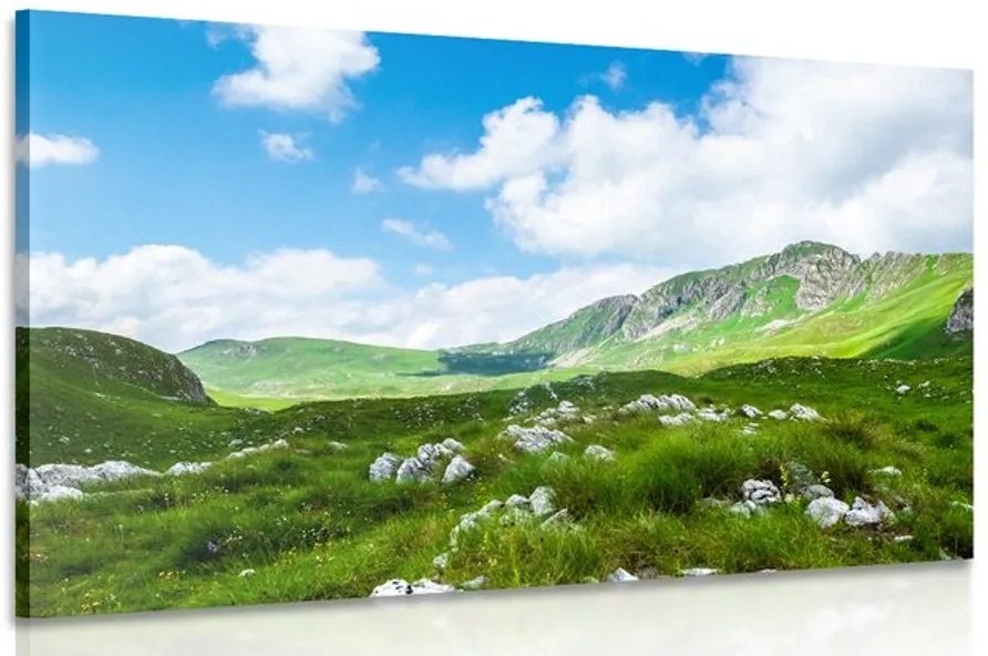 Stampa su tela – Valle in Montenegro