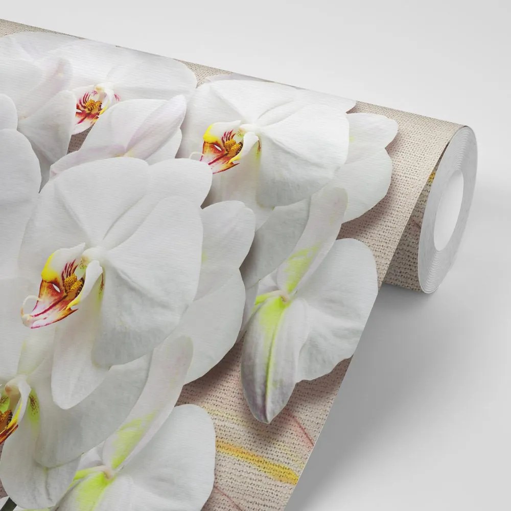Carta da parati autoadesiva – Orchidea bianca su tela