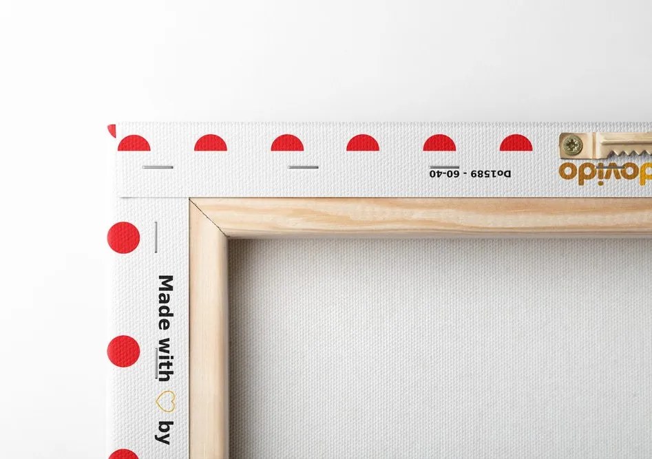 Stampa su tela – Labbra pop art