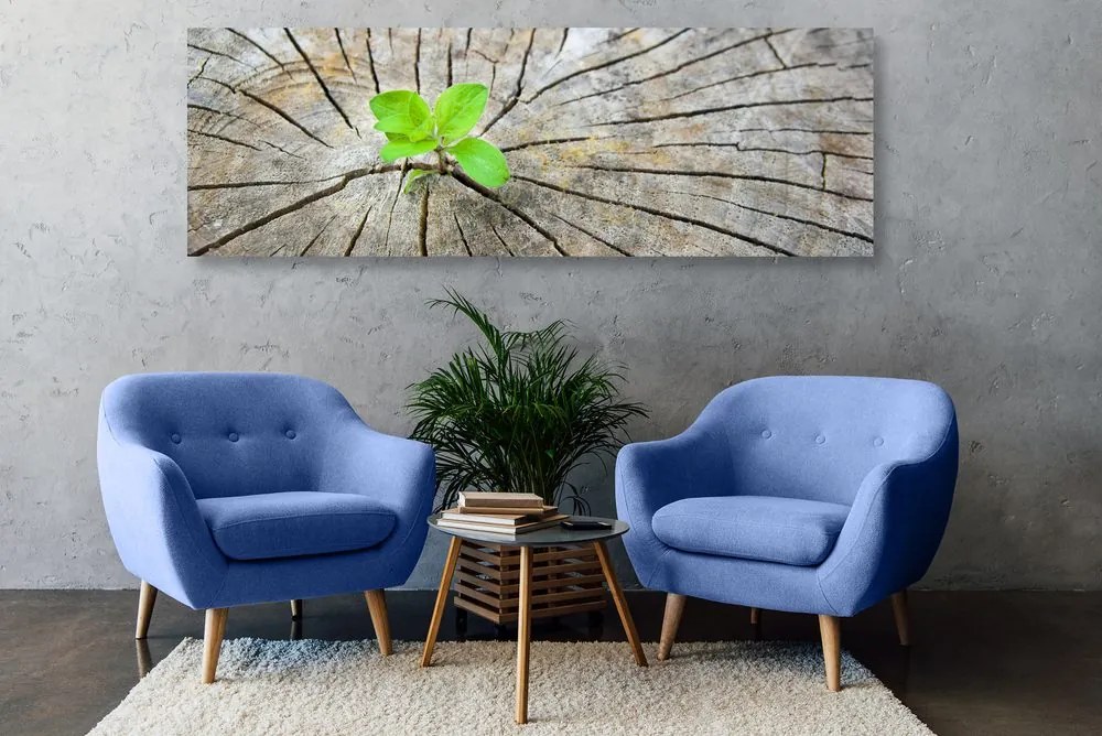 Quadro su tela – Nascita di una nuova vita