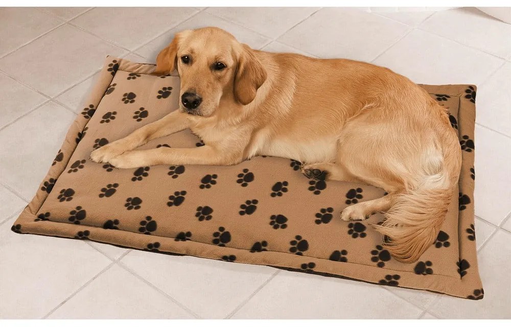 Coperta in cotone marrone chiaro per animali domestici, 120 x 75 cm - Maximex