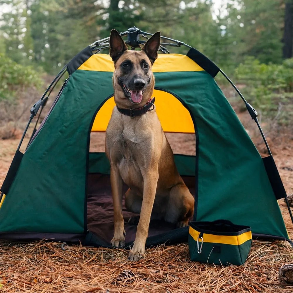 Ciotola da viaggio pieghevole in tessuto ø 18 cm Moss - P.L.A.Y.