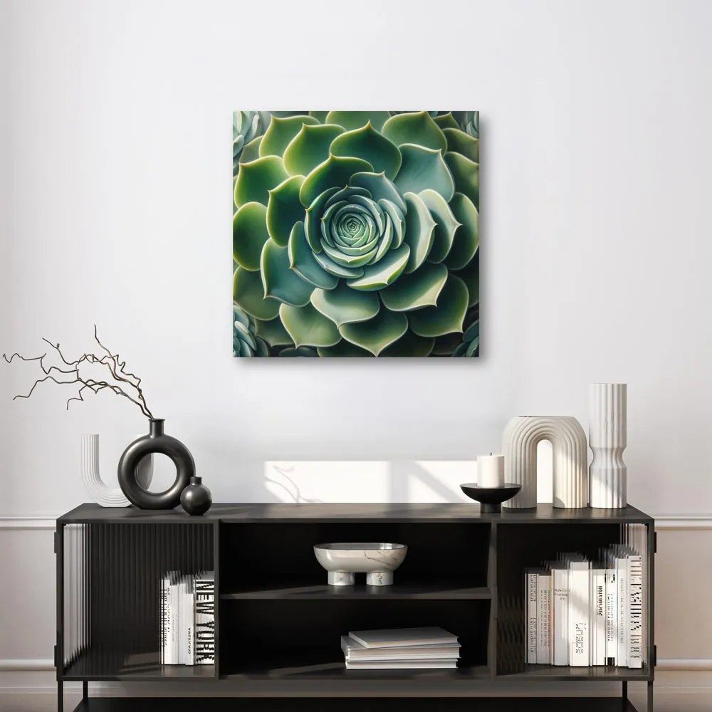 Quadro su tela – Spirale perfetta della pianta grassa