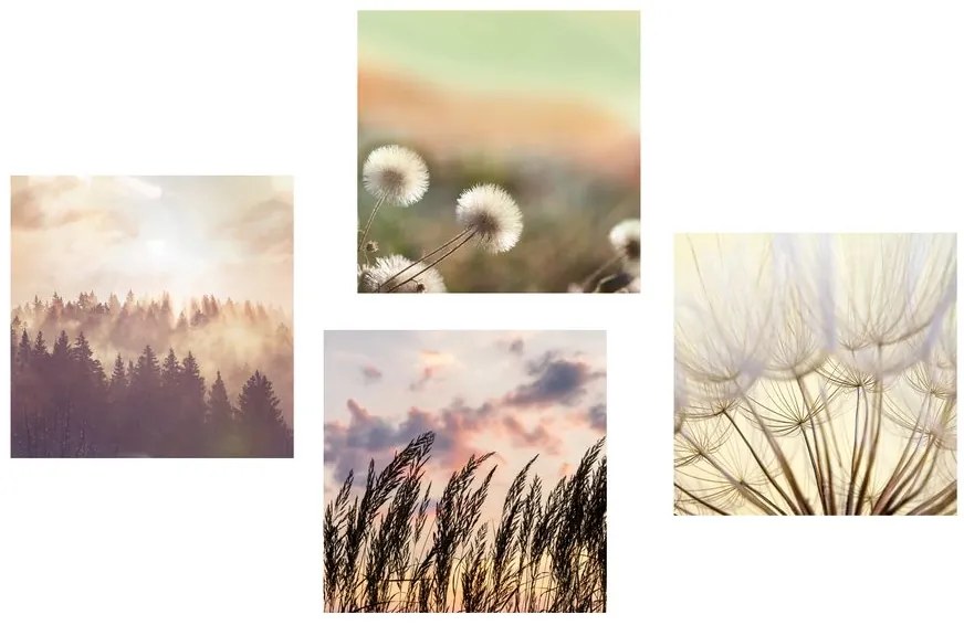 Set di quadri – Paesaggio tranquillo con soffione